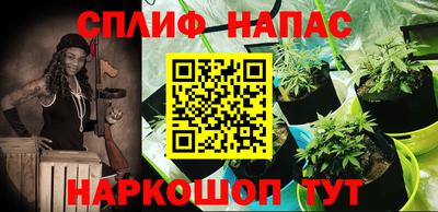 jwh Краснознаменск