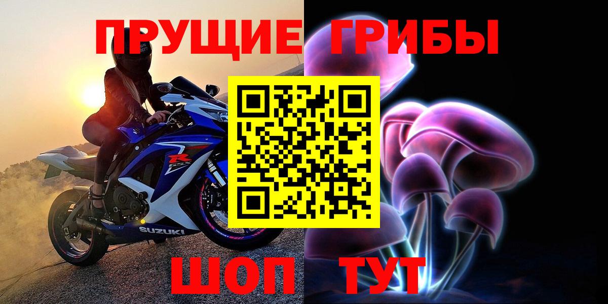 Псилоцибиновые грибы Psilocybine cubensis  Вход с VPN  Елизово 