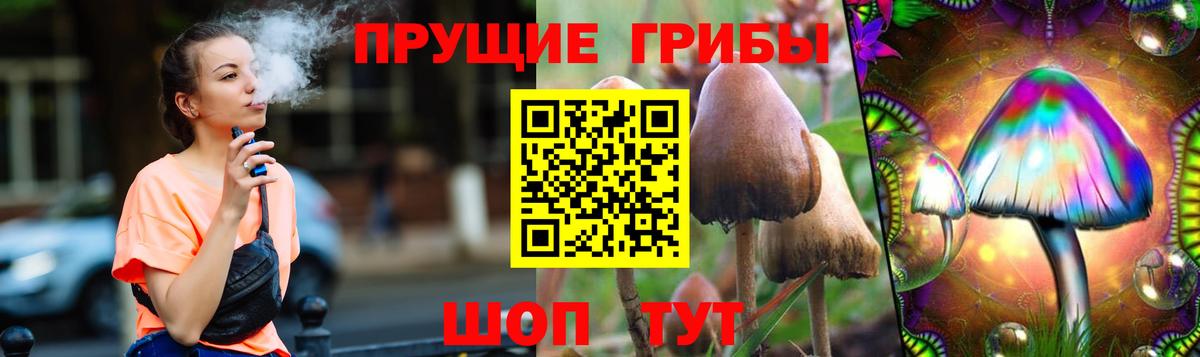 Псилоцибиновые грибы Psilocybe Елизово